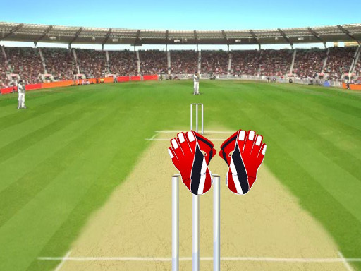 Cricket Wicket Game Image Cricket Wicket Game