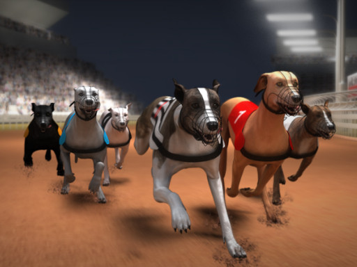 Greyhound Racing Game